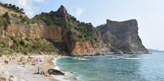 Free beach bus is back