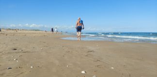 Dead fish wash up on beaches