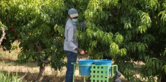 Farm worker dies of heatstroke