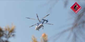 Forest fire extinguished