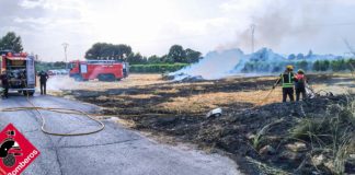 High alert for forest fires