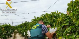 ‘Grape-ful’ farmers salute the Guardia Civil