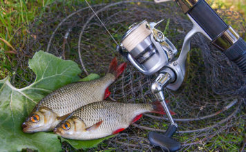 Carp-R-Us fishing club