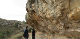 Council acts over ancient cave paintings