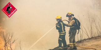Forest fire ‘extinguished’