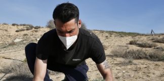A helping hand for the dunes