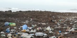 Action on plastic