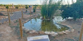 ‘Botanical garden’ created on lake shore