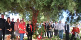 Act of remembrance at the ‘Poppy Tree’