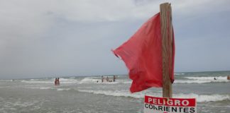 Safe beaches information website launched