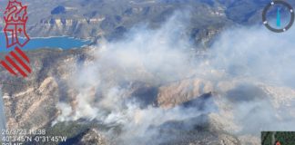 Forest fire ‘has not advanced’