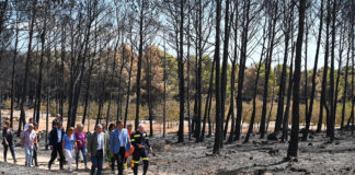 Emergency zone status for fire zones