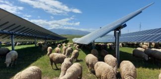 Massive solar farm in the pipeline