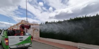 Crackdown on mosquitoes