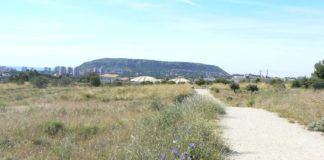 Hunter shoots cyclist ‘mistaken for rabbit’