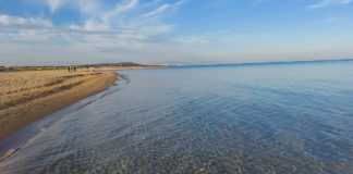 Tranquility for the New Year